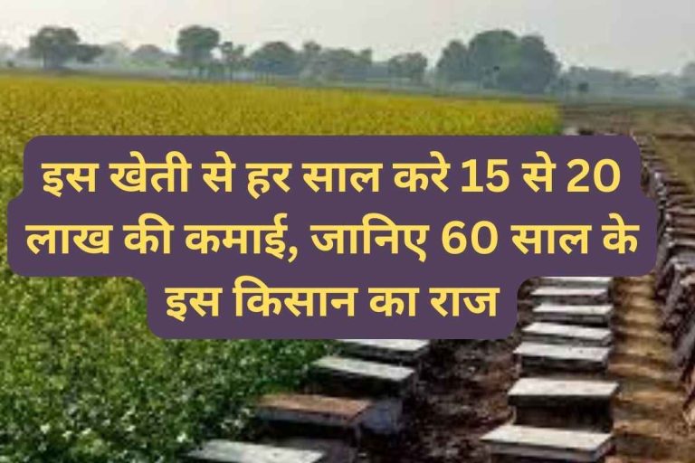 Earn 15 to 20 lakhs every year from this farming
