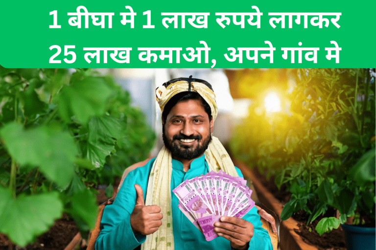 Earn Rs 25 lakh by investing Rs 1 lakh in 1 bigha, in your village.