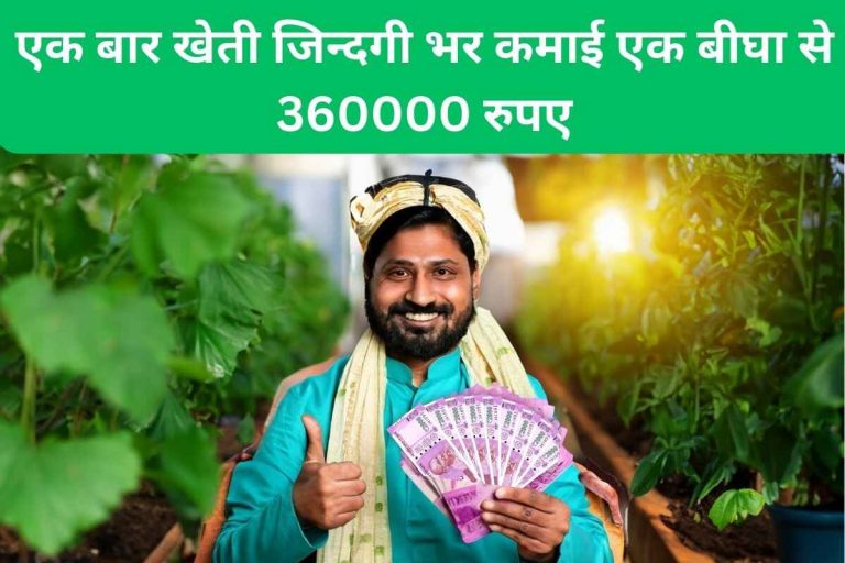 Farming once and lifetime earning from one bigha is Rs 360000.
