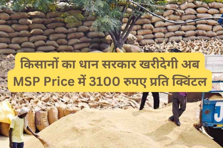 Government will now buy farmers' paddy at MSP price of Rs 3100 per quintal.