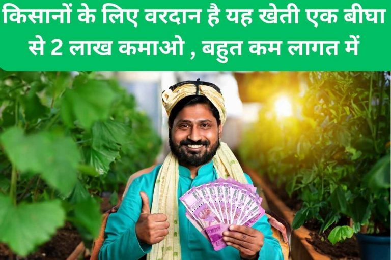 This farming is a boon for farmers, earn 2 lakhs from one bigha.