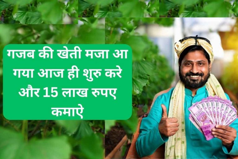 Amazing farming, it's fun, start it today and earn Rs 15 lakh.