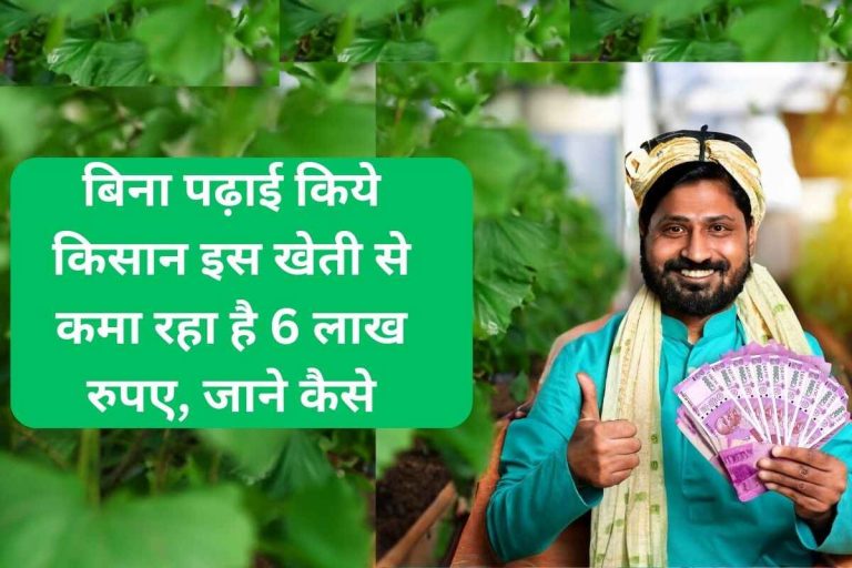 Farmer is earning Rs 6 lakh from this farming without any education