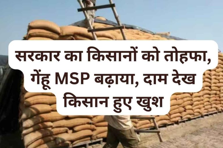 Government's gift to farmers, wheat MSP increased, farmers happy after seeing the price